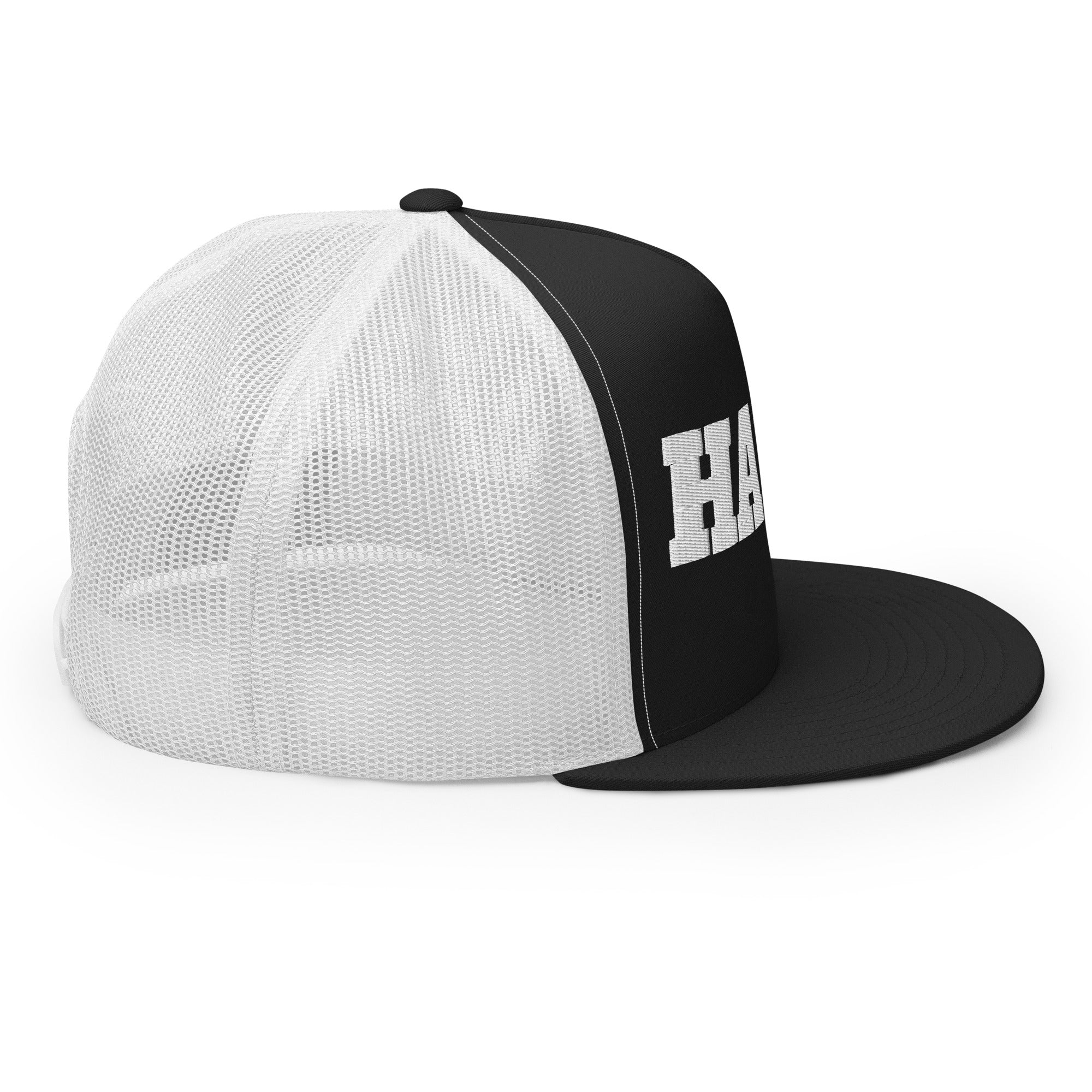 The embroidered snapback cap in another colour